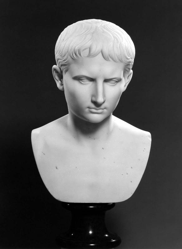 The Young Augustus