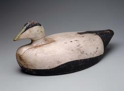 Decoy: American Eider Drake