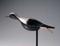 Stick-up Decoy: Black-bellied Plover