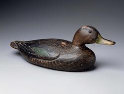 Decoy: Black Duck (one of a pair)