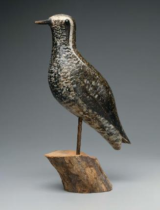 Decoy:  Golden Plover