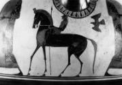Restricted; Horse