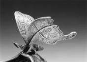 Luna moth