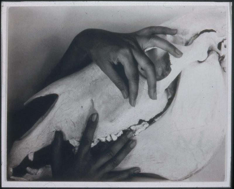 Georgia O'Keeffe: A Portrait (15)