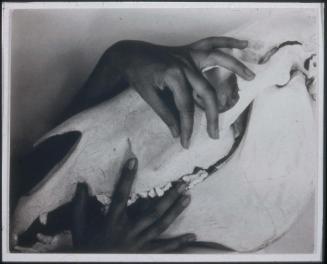 Georgia O'Keeffe: A Portrait (15)