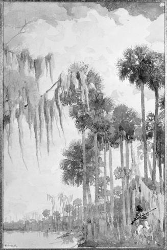 Indian Hunter in the Everglades