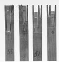 Reeds
