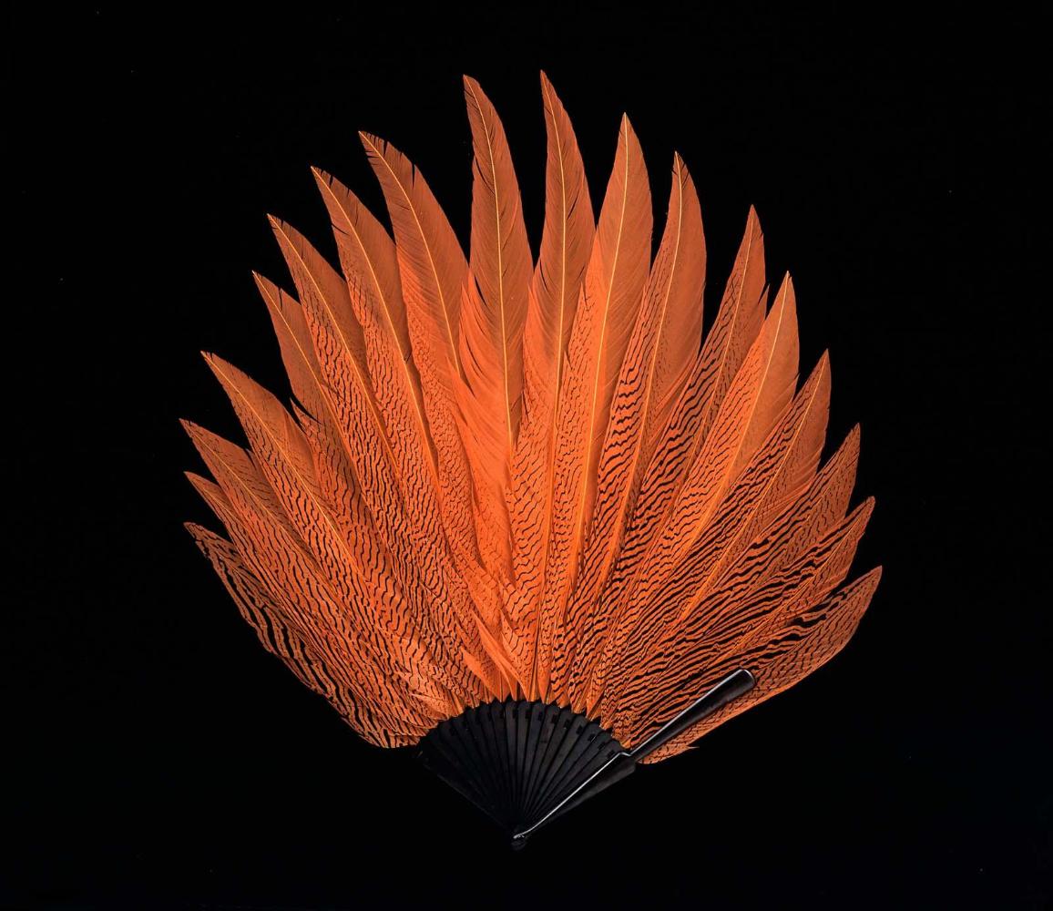 Feather brisé fan