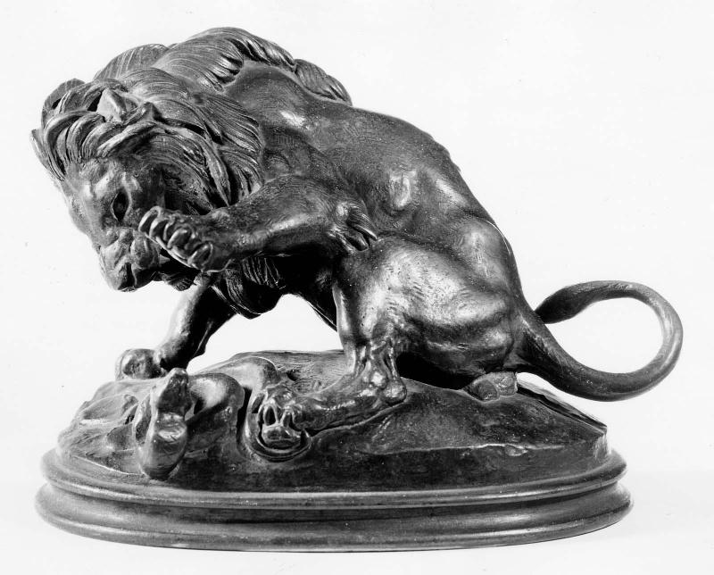 Lion about to Strike a Serpent