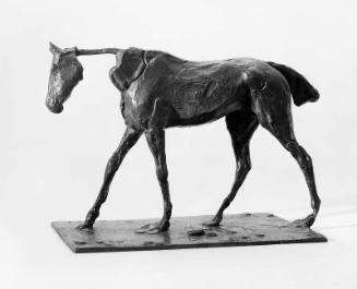 Horse Walking
