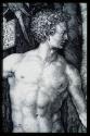 Adam