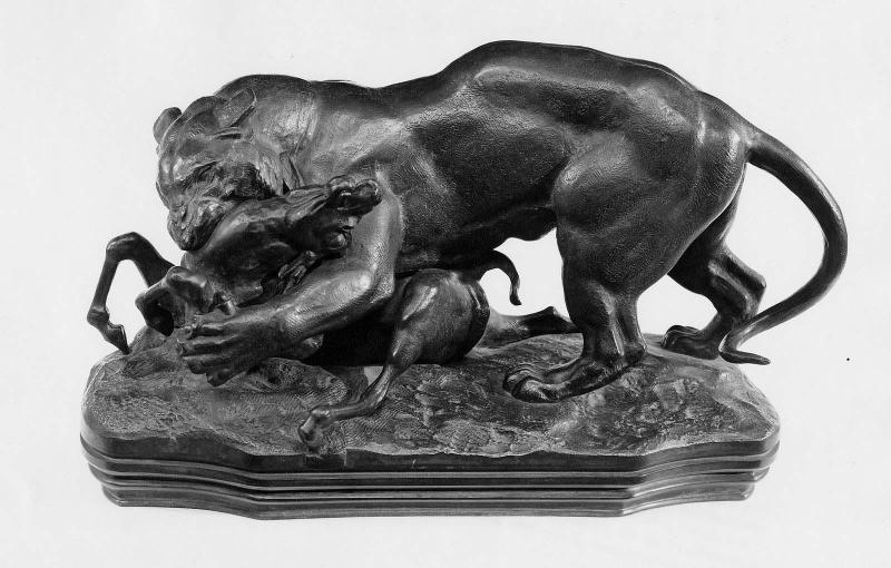 Tiger attacking Antelope