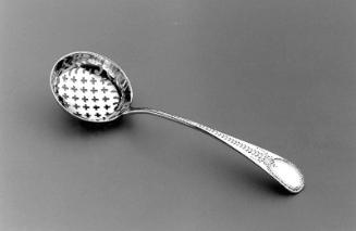 Sugar Sifter Spoon