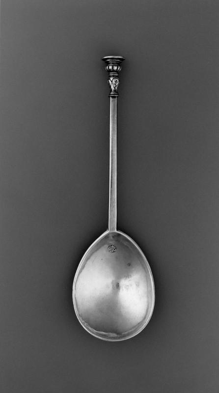 Seal-Top Spoon