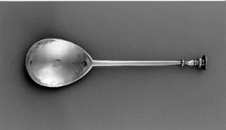Seal-Top Spoon