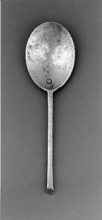 Slip-Top Spoon