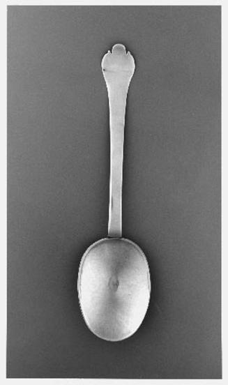 Trefid spoon
