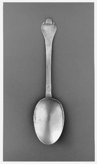Trefid Spoon