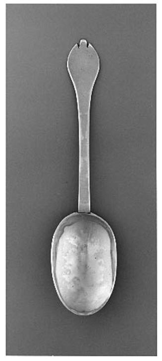 Trefid spoon