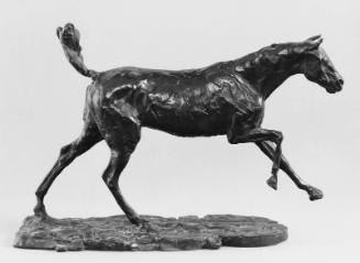 Horse Galloping on Right Foot