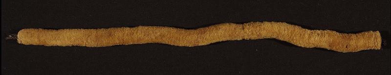 Fragment of a cord