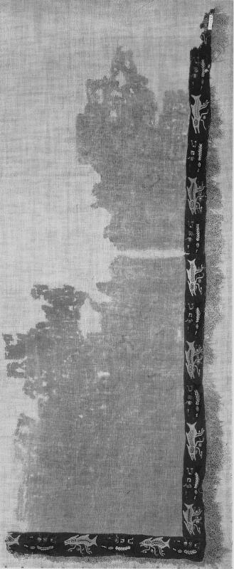 Mantle fragment