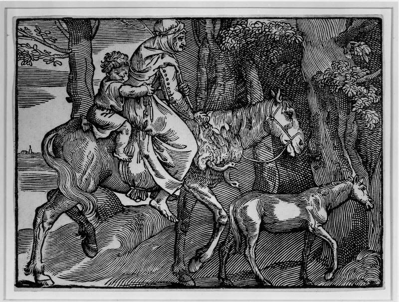 An Old Peasant Woman Riding to Market