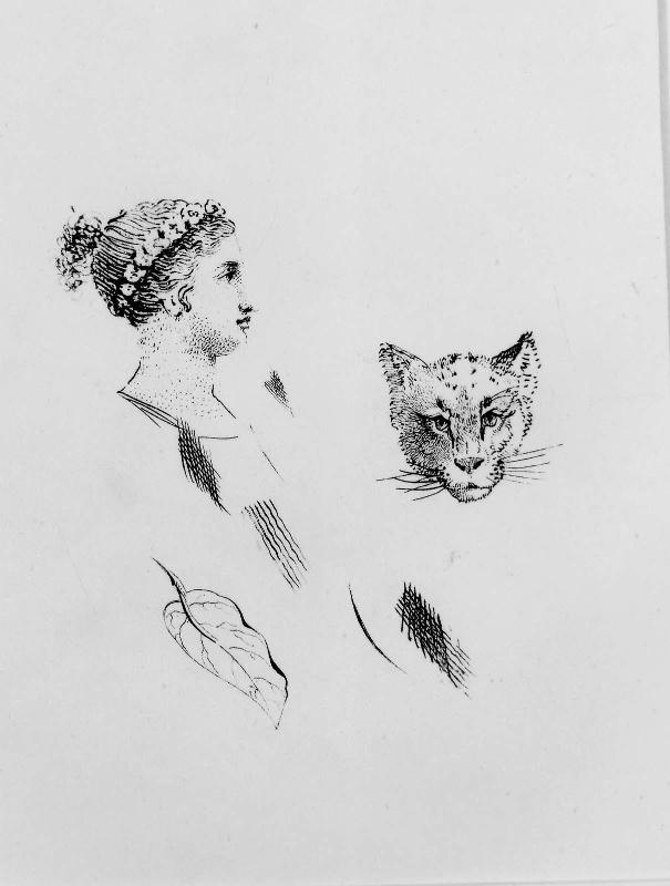 Sketches of a Woman's Profile, a Leaf, and a Cat's Head