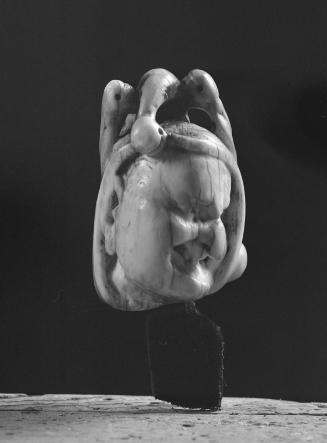 Fool's Head Whistle
