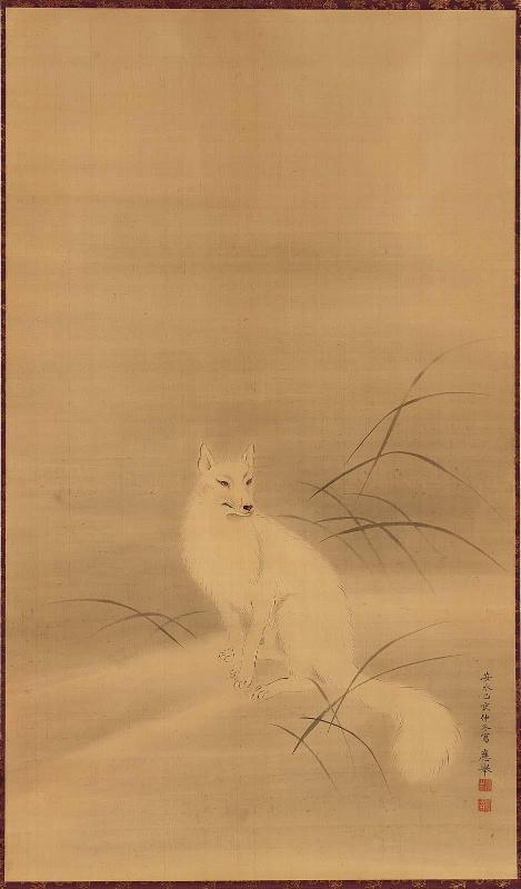 White Fox