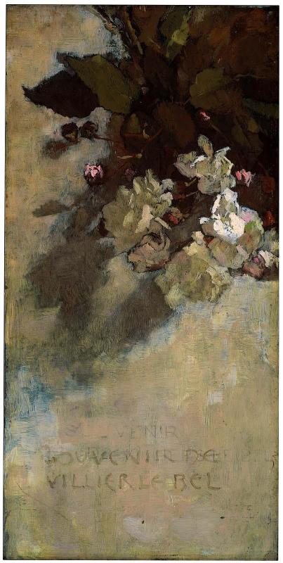 Roses—Souvenir de Villier le bel