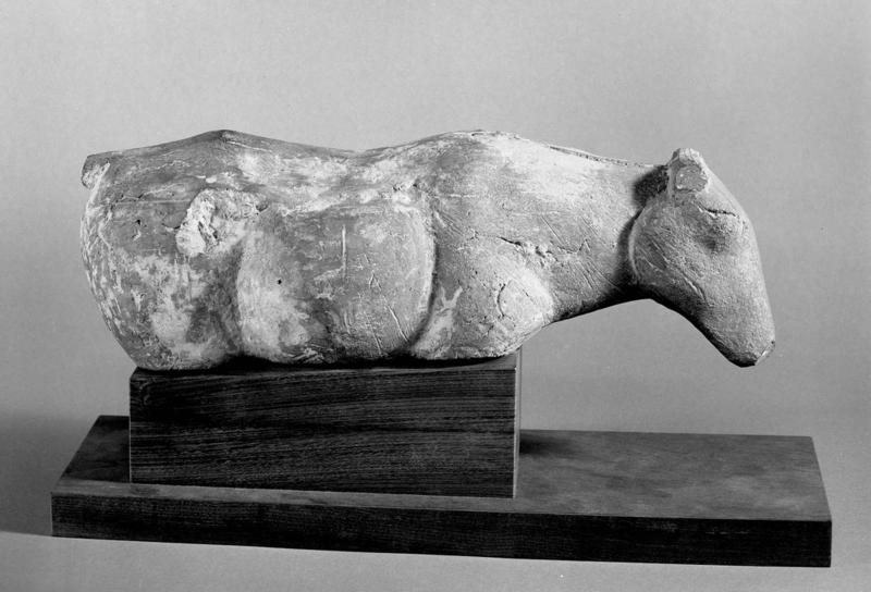 Head and Trunk of a Cow