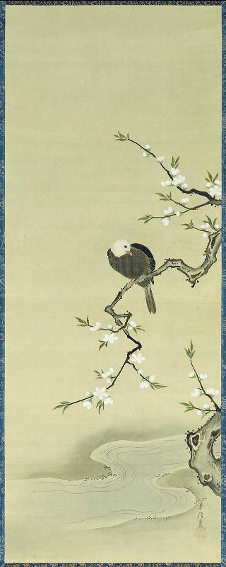 Bird Perched on White Peach Branch