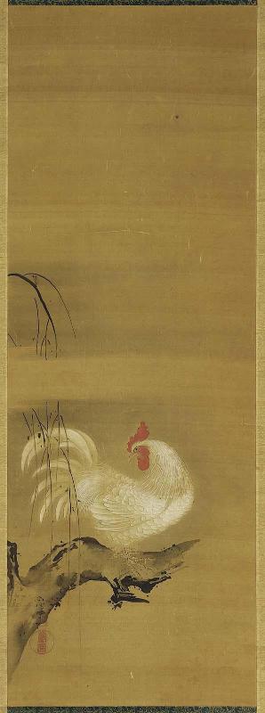 Rooster