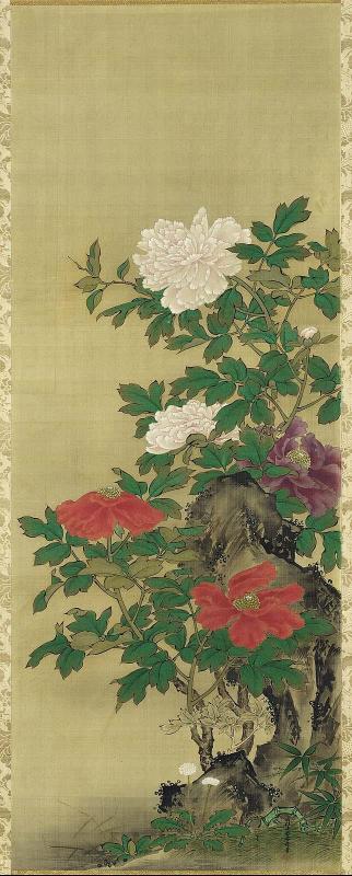 Peonies