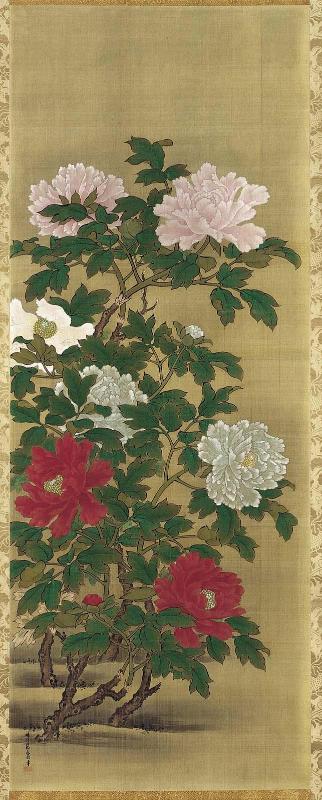Peonies