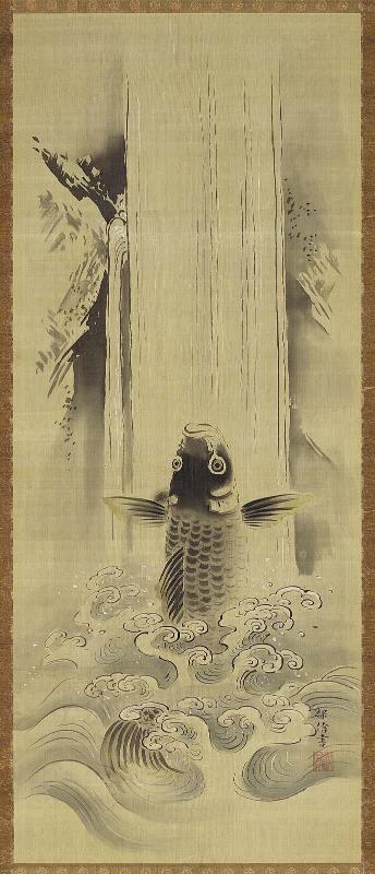 Carp Ascending Waterfall