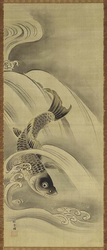 Carp Descending Waterfall