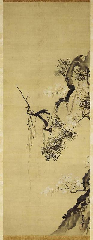 Pine and Cherry