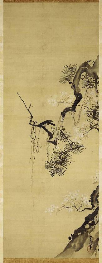 Pine and Cherry