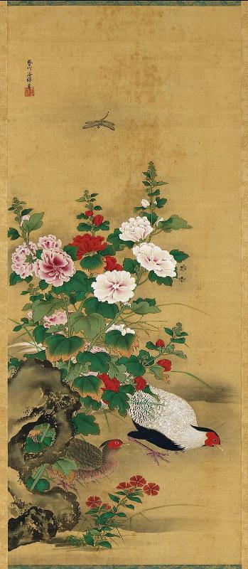 Pheasants and Rose Mallow