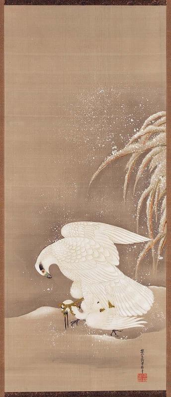 Falcon Striking an Egret