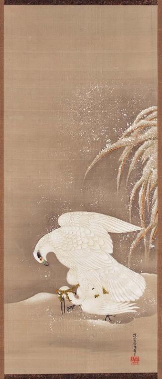 Falcon Striking an Egret
