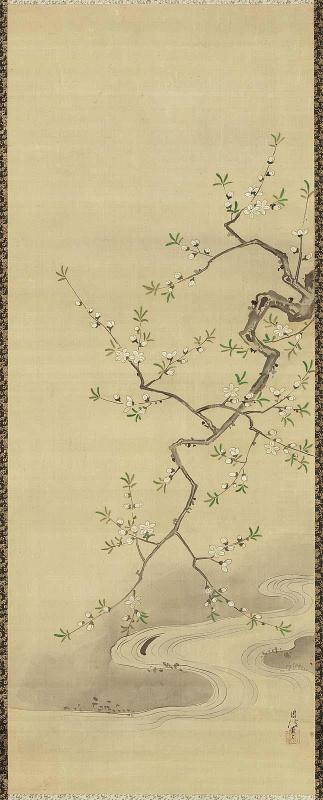 Peach Tree