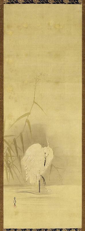 Egret
