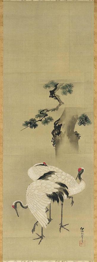 Cranes and Pine Tree