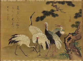 Cranes and Pine Tree