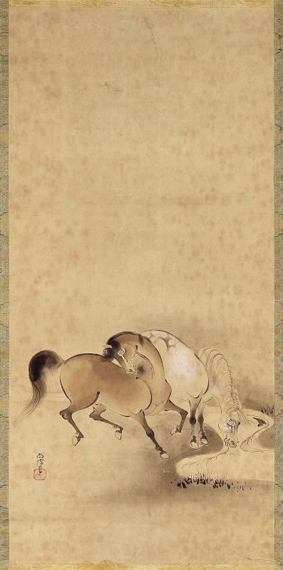 Wild Horses