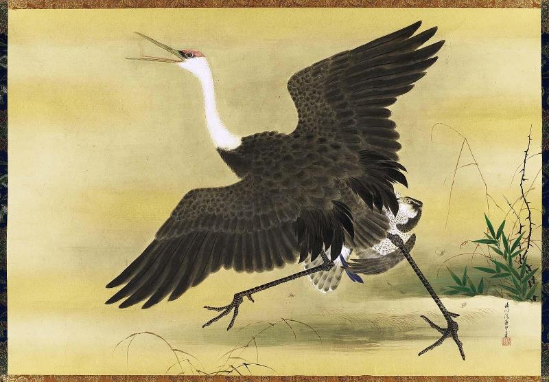 Falcon Attacking a Crane