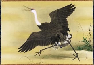 Falcon Attacking a Crane